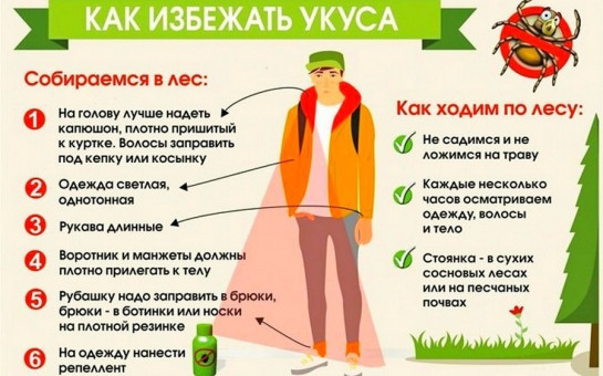 Осторожно клещ!